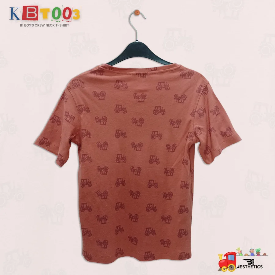 brown crew-neck boy's t-shirt