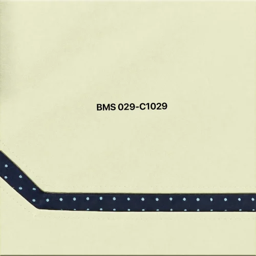 b1 aesthetics retro v gym shorts black side panel design