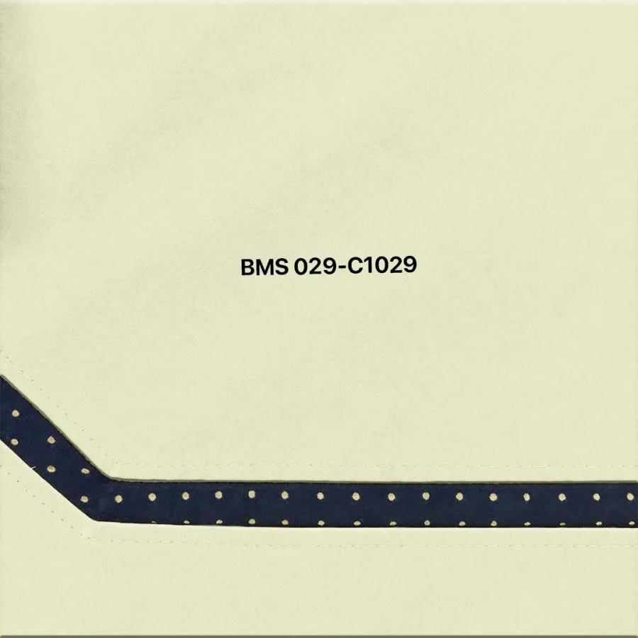 b1 aesthetics retro v gym shorts black side panel design